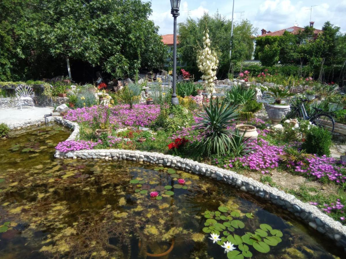 Villa Fiorita Монфалконе Екстериор снимка