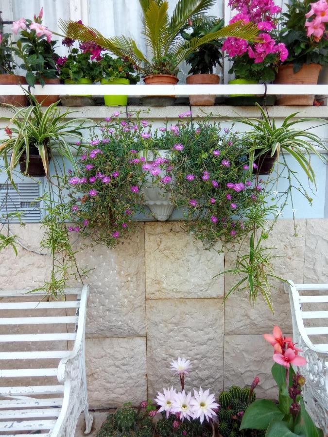 Villa Fiorita Монфалконе Екстериор снимка