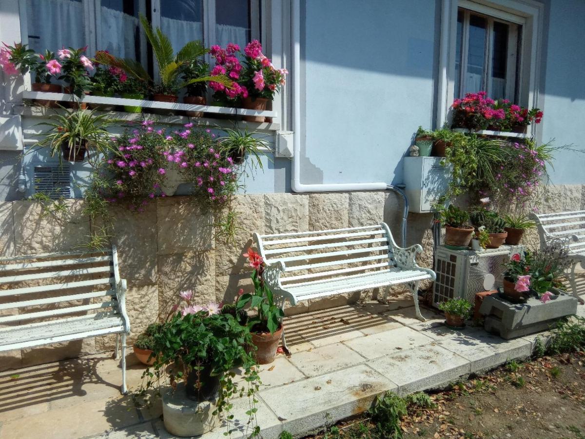 Villa Fiorita Монфалконе Екстериор снимка