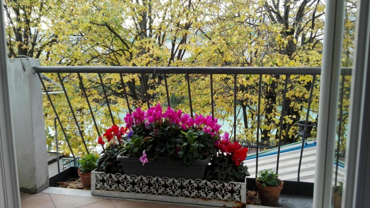 Villa Fiorita Монфалконе Екстериор снимка